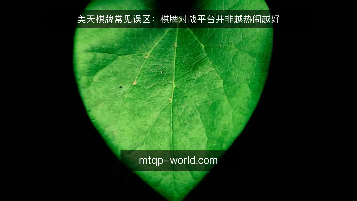 美天棋牌常见误区:棋牌对战平台并非越热闹越好
